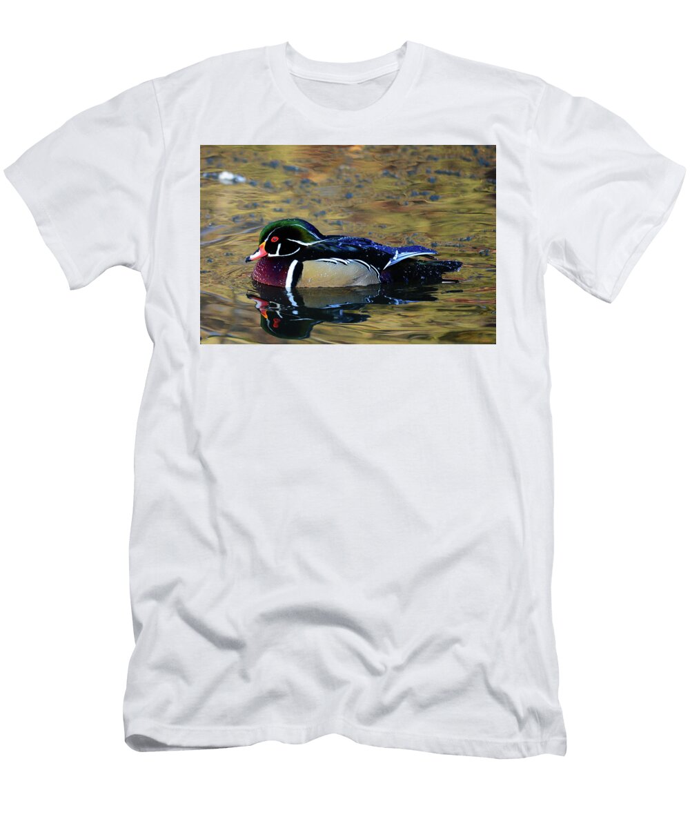 Wood Duck Drake Whispering Peaks Photography T-Shirt