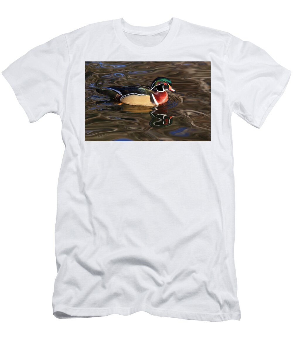 Wood Duck on Golden Waters Lynn Hopwood T-Shirt