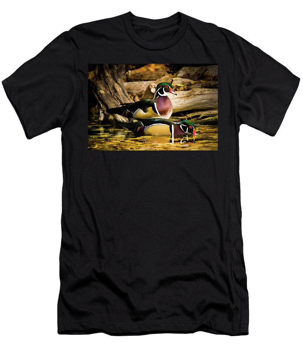 Wood Ducks in Autumn Waters Tl Mair T-Shirt
