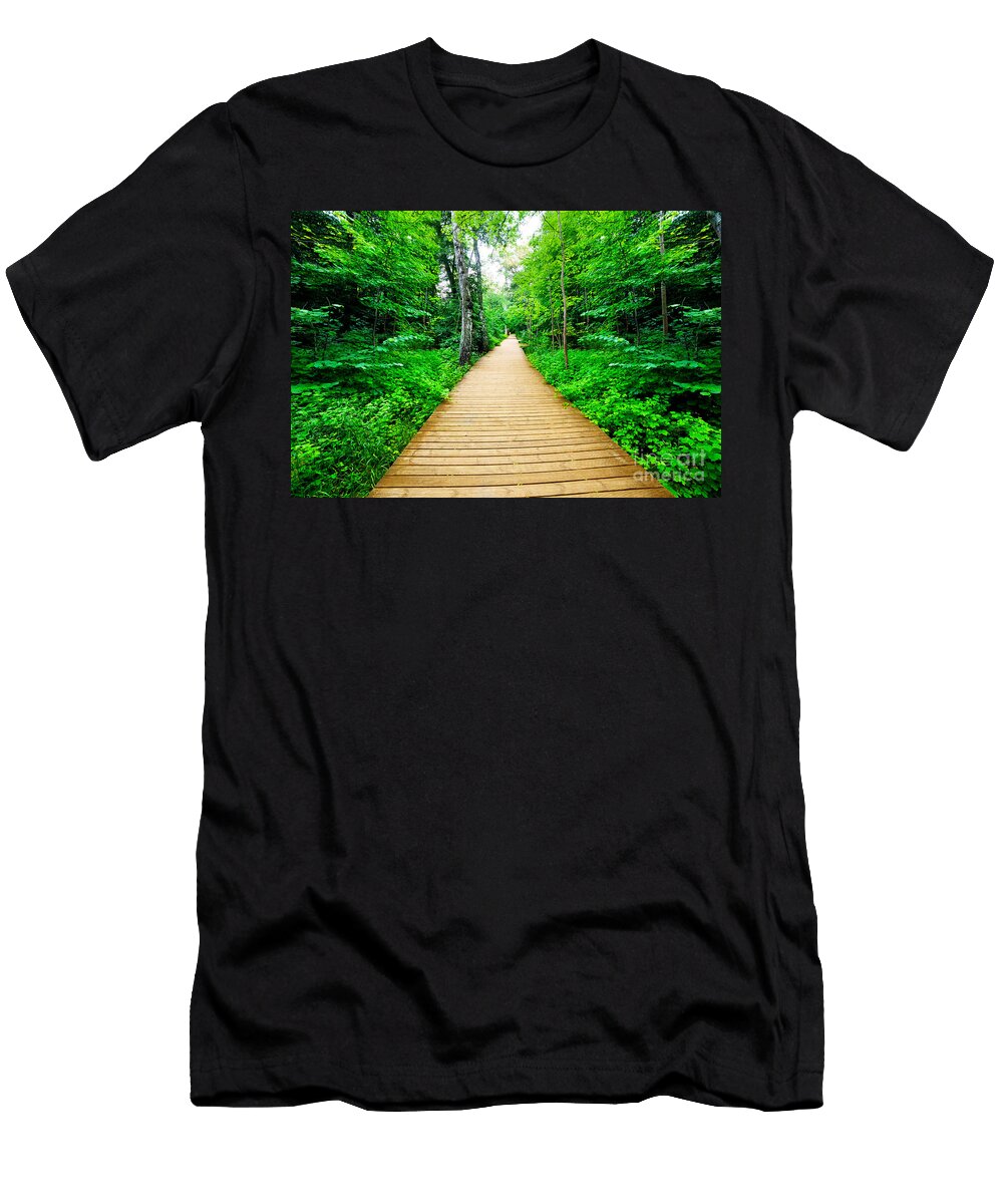 Wooden Way in Green Forest Lush Bush Michal Bednarek T-Shirt
