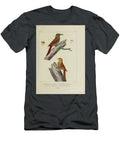 Woodpeckers of South America 1835 U1 Historic Illustrations T-Shirt