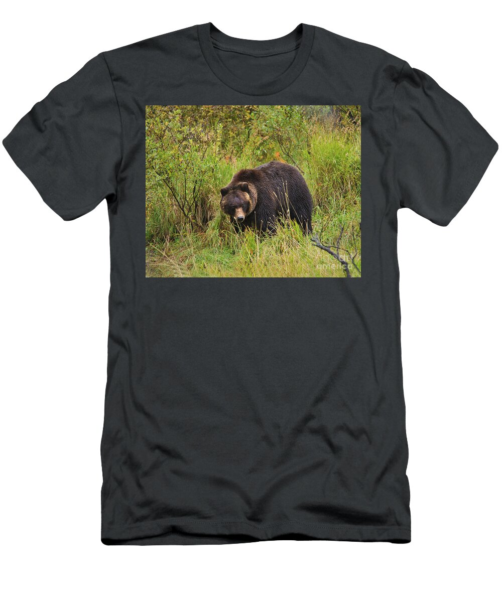 Woods Edge Grizzly Bear Timothy Flanigan T-Shirt