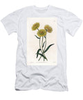 Xerochrysum Variete Endemic in Australia Sydenham Teast Edwards T-Shirt