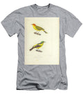 Yellow Bellied Dacnis U1 Historic Illustrations T-Shirt