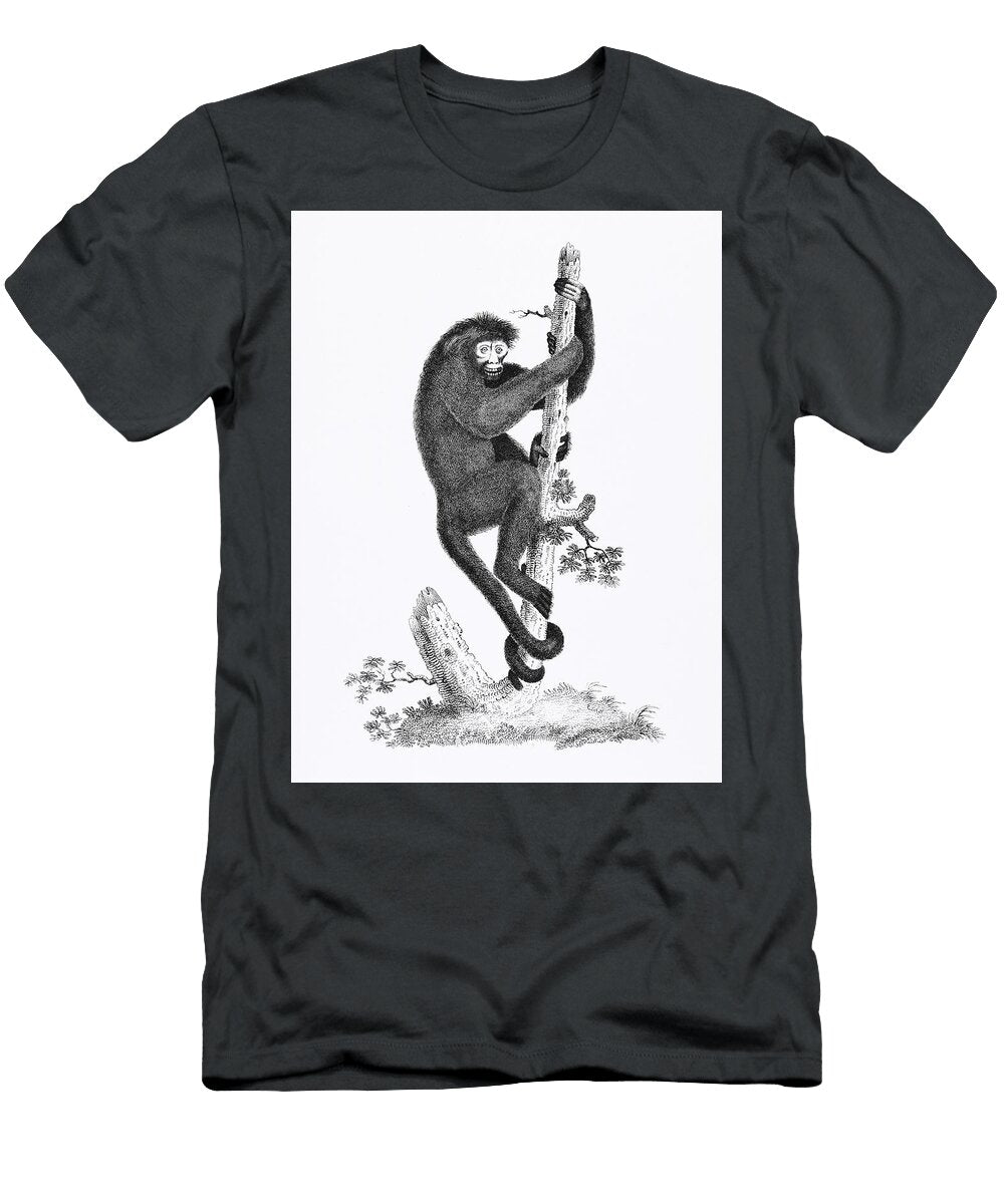 Yellow Billed Jacamar From Histoire Naturelle Des Oiseaux De Paradis Et Des Rolliers 1806 By Jacques Les Classics T-Shirt