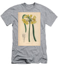Yellow Callosteme Yellow Calostemma Calostemma Luteum European School T-Shirt