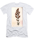 Yellow Gaillet or Yellow Milk Quail Sydenham Teast Edwards T-Shirt