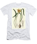 Yellow Pyrolirion Amaryllis Arvensis Native to Peru Sydenham Teast Edwards T-Shirt