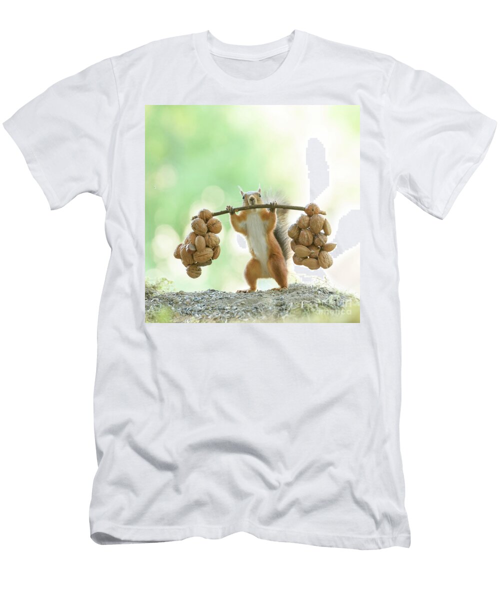 Young Red Squirrel Holding Weights with Walnuts Geert Weggen T-Shirt