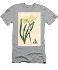 Zephyr Lily Zephyranthes Concolor Whole Coloured Habranth Habranthus Concolor European School T-Shirt