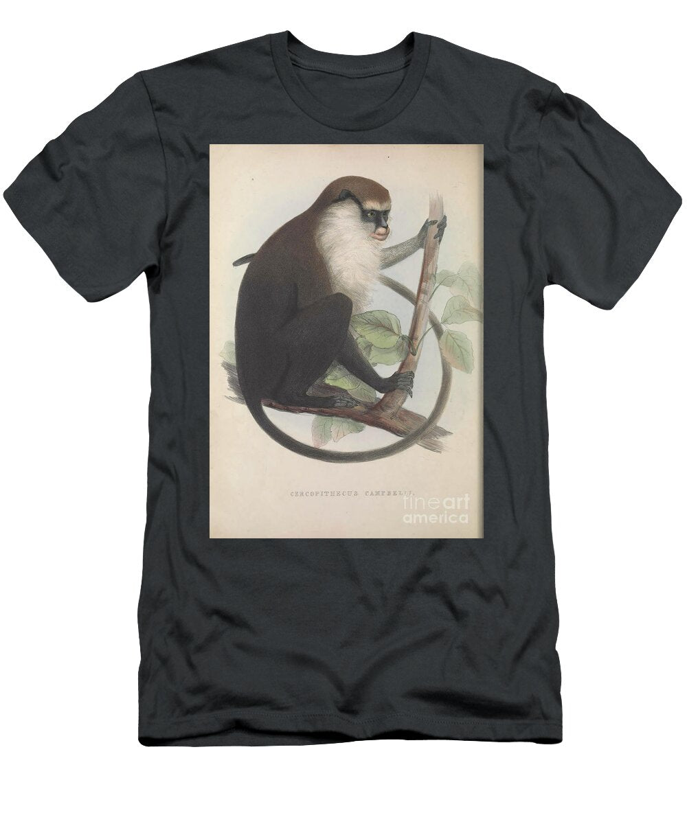 Zoologia Typica Q1 Historic Illustrations T-Shirt