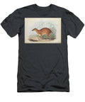 Zoologia Typica Q3 Historic Illustrations T-Shirt