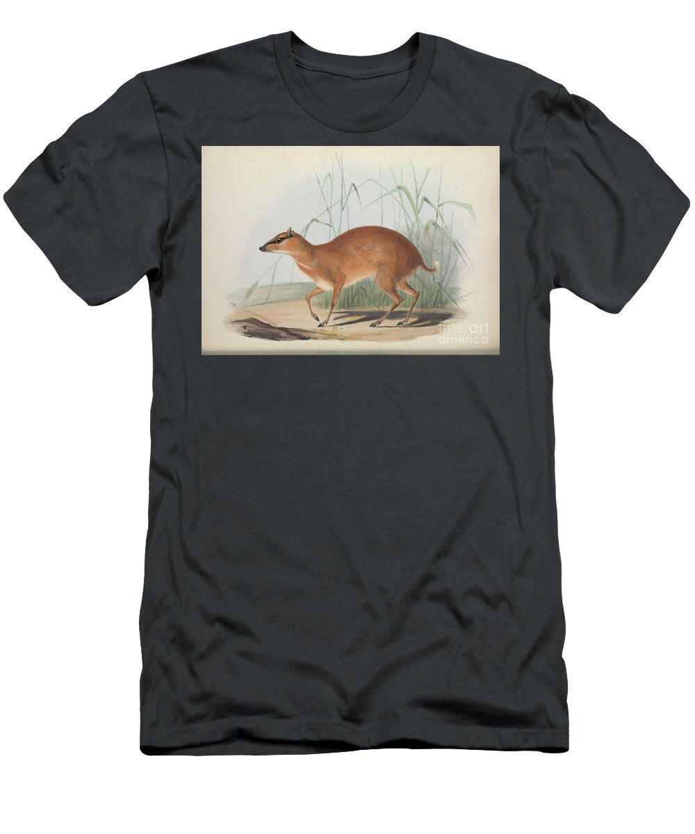 Zoologia Typica Q3 Historic Illustrations T-Shirt