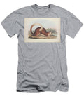 Zoologia Typica Q4 Historic Illustrations T-Shirt