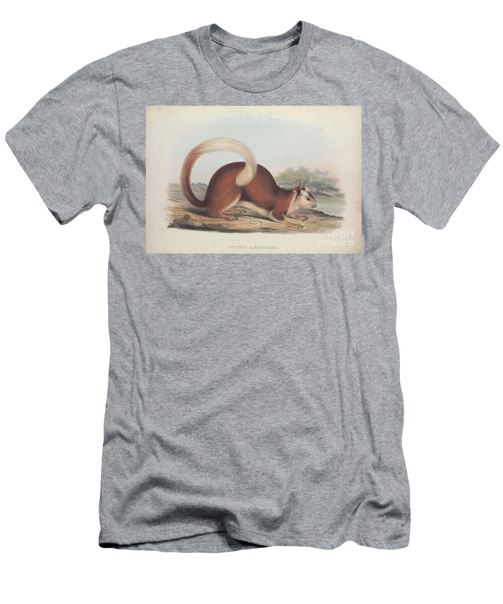 Zoologia Typica Q4 Historic Illustrations T-Shirt