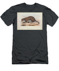 Zoologia Typica Q5 Historic Illustrations T-Shirt