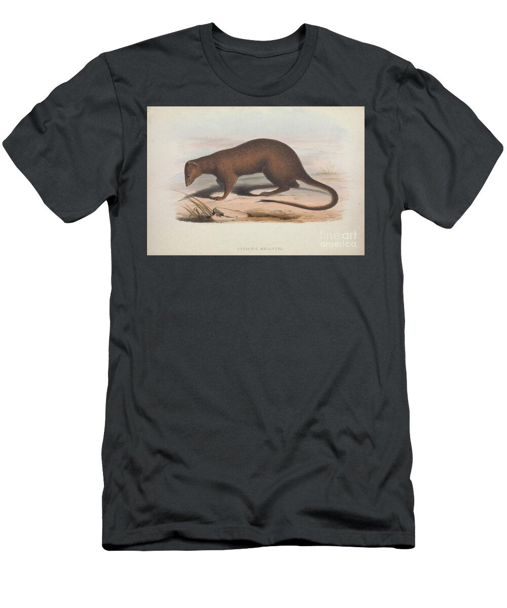Zoologia Typica Q5 Historic Illustrations T-Shirt